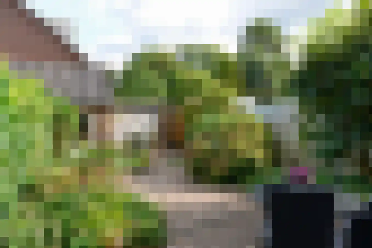 Zwaluwlaan 63 Bussum thumbnail 10