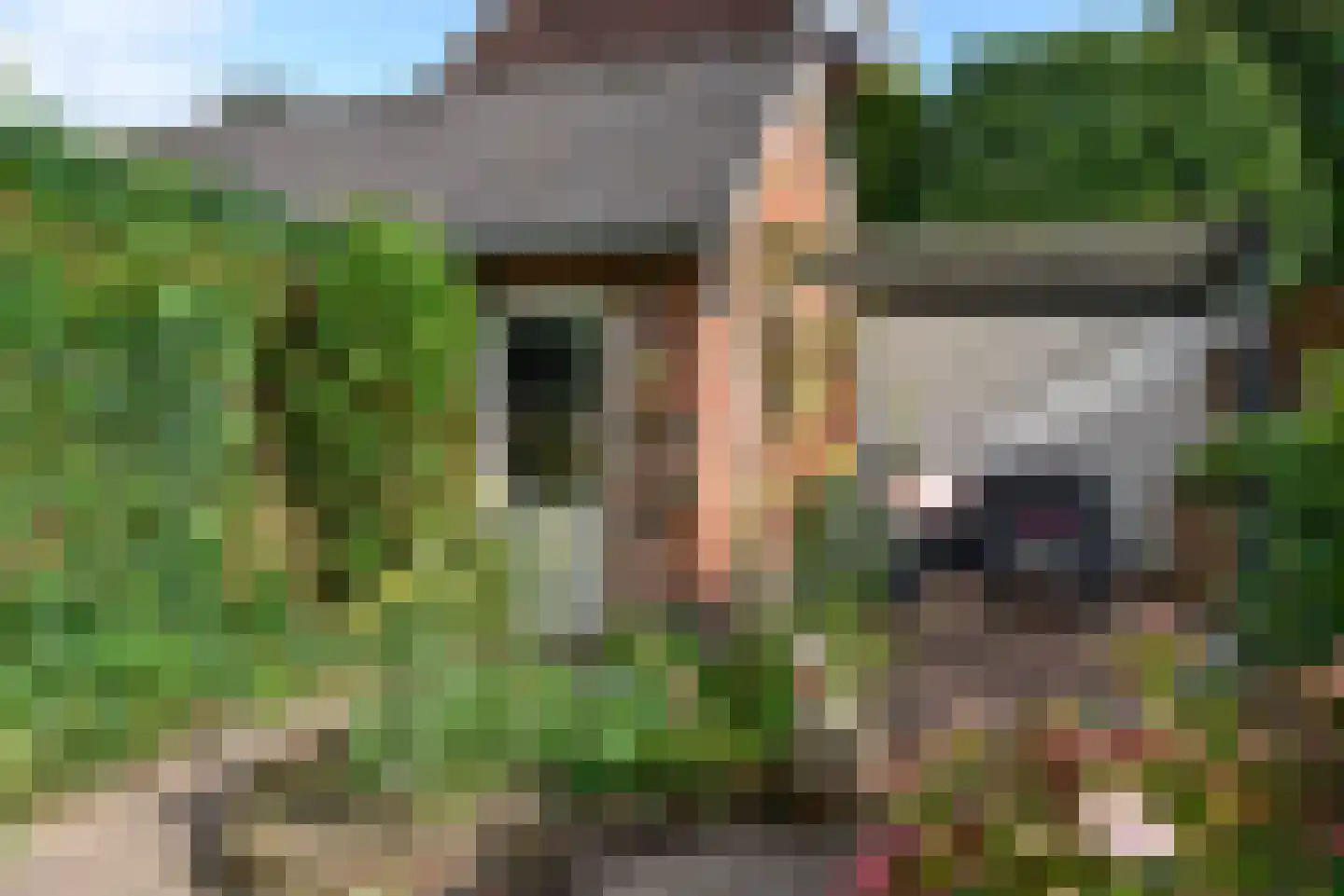 Zwaluwlaan 63 Bussum thumbnail 11