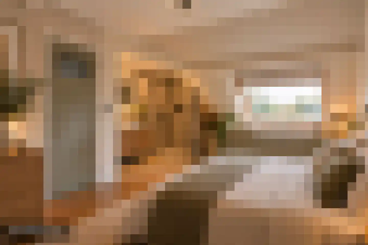 Zwaluwlaan 63 Bussum thumbnail 23