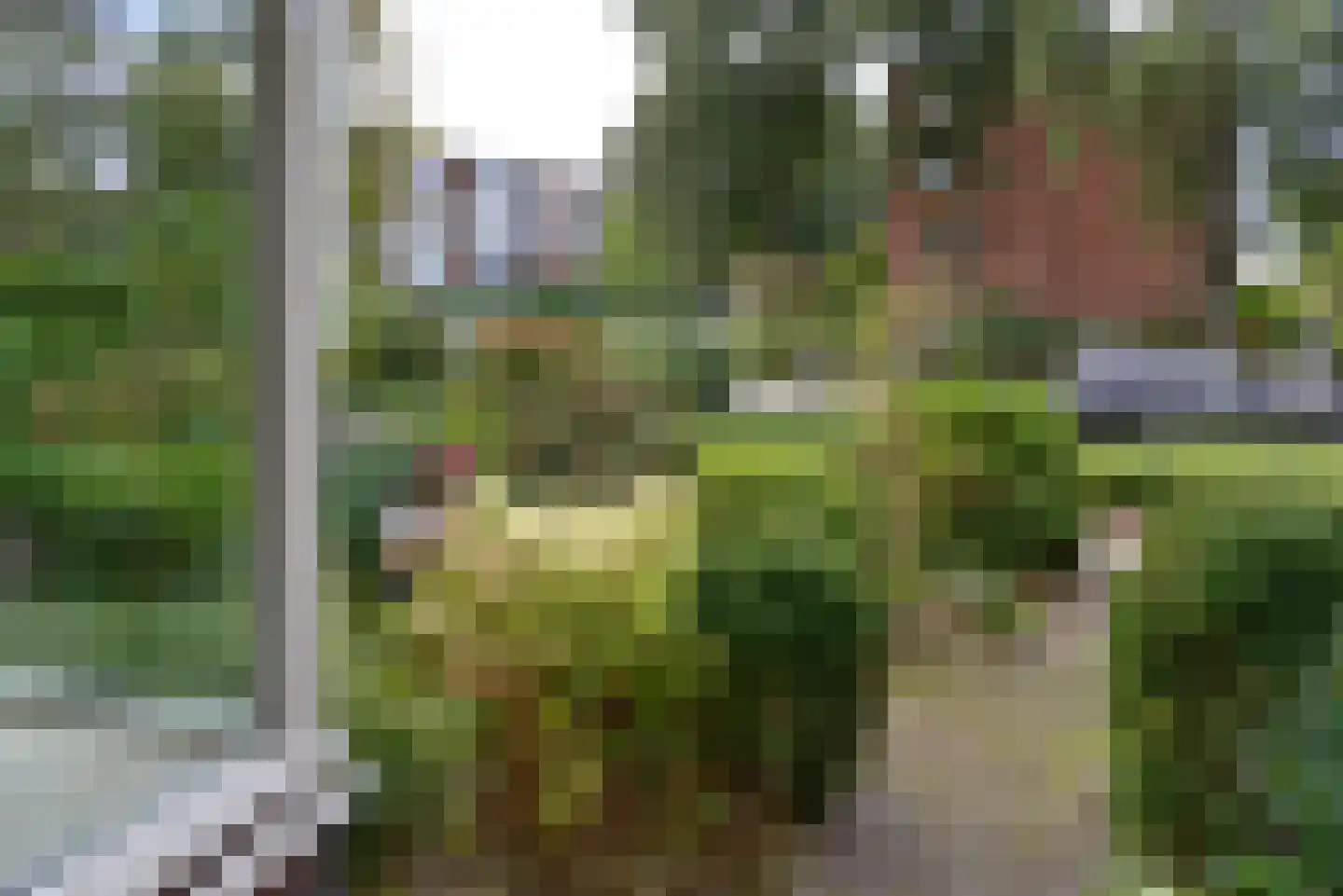 Zwaluwlaan 63 Bussum thumbnail 9