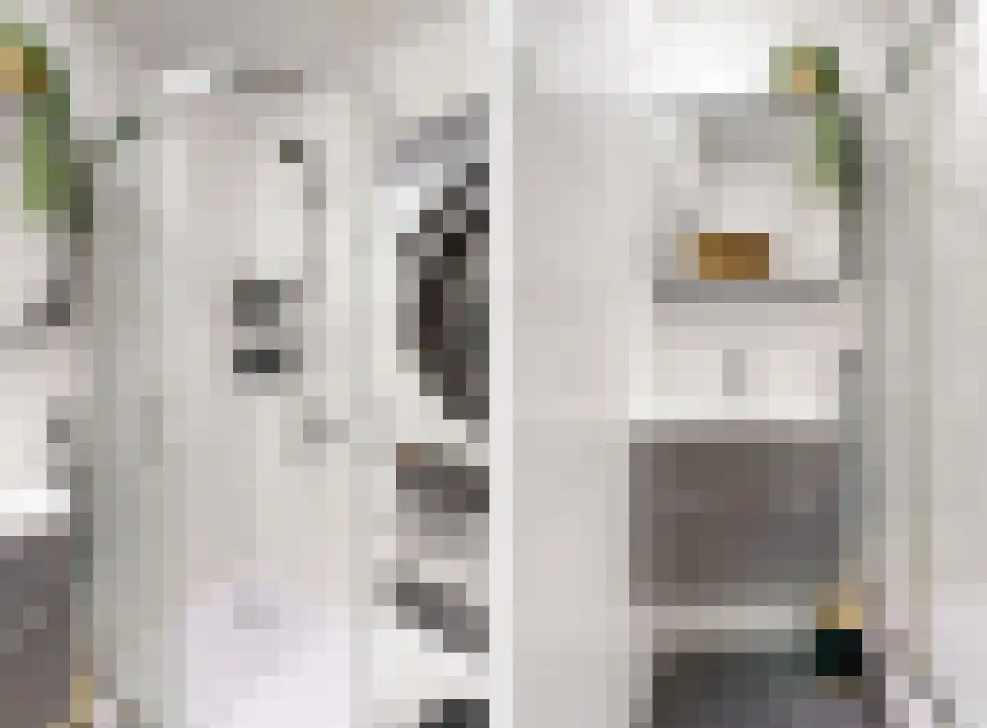 Zwaluwlaan 68 Bussum thumbnail 17