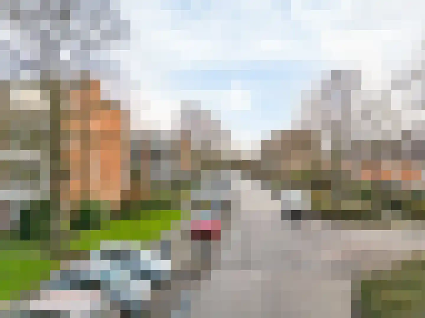 Zwaluwlaan 68 Bussum thumbnail 25