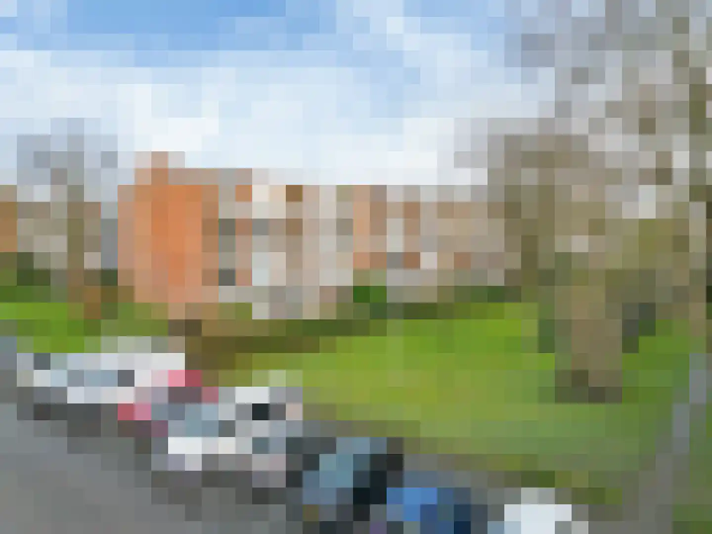 Zwaluwlaan 68 Bussum thumbnail 26
