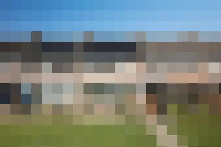Zwaluwlaan 7 Dieren