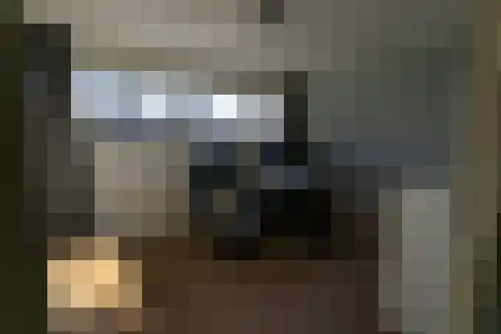 Zwaluwlaan 7 Dieren thumbnail 11