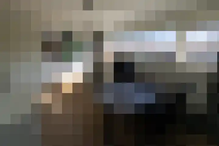 Zwaluwlaan 7 Dieren thumbnail 12