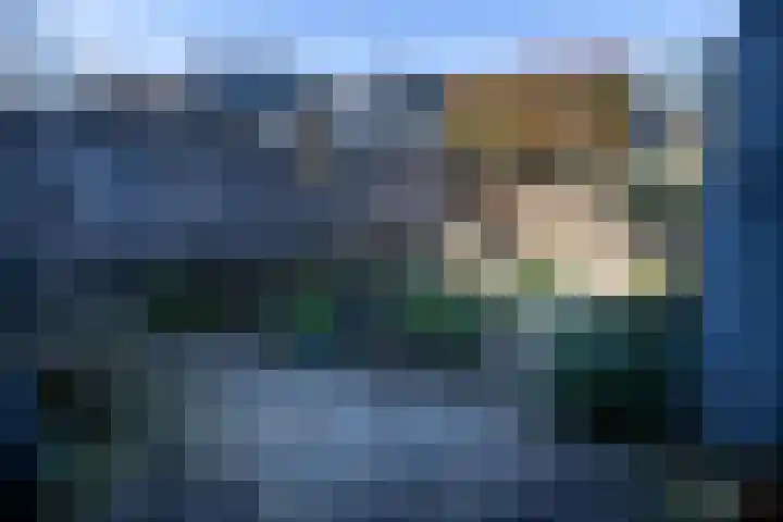 Zwaluwlaan 7 Dieren thumbnail 16