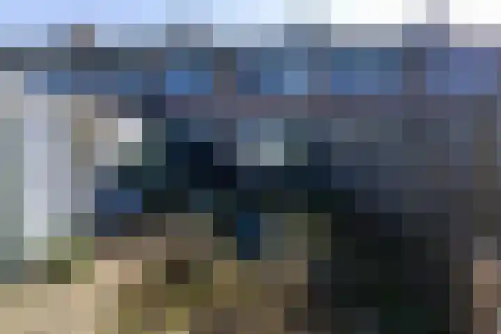 Zwaluwlaan 7 Dieren thumbnail 17
