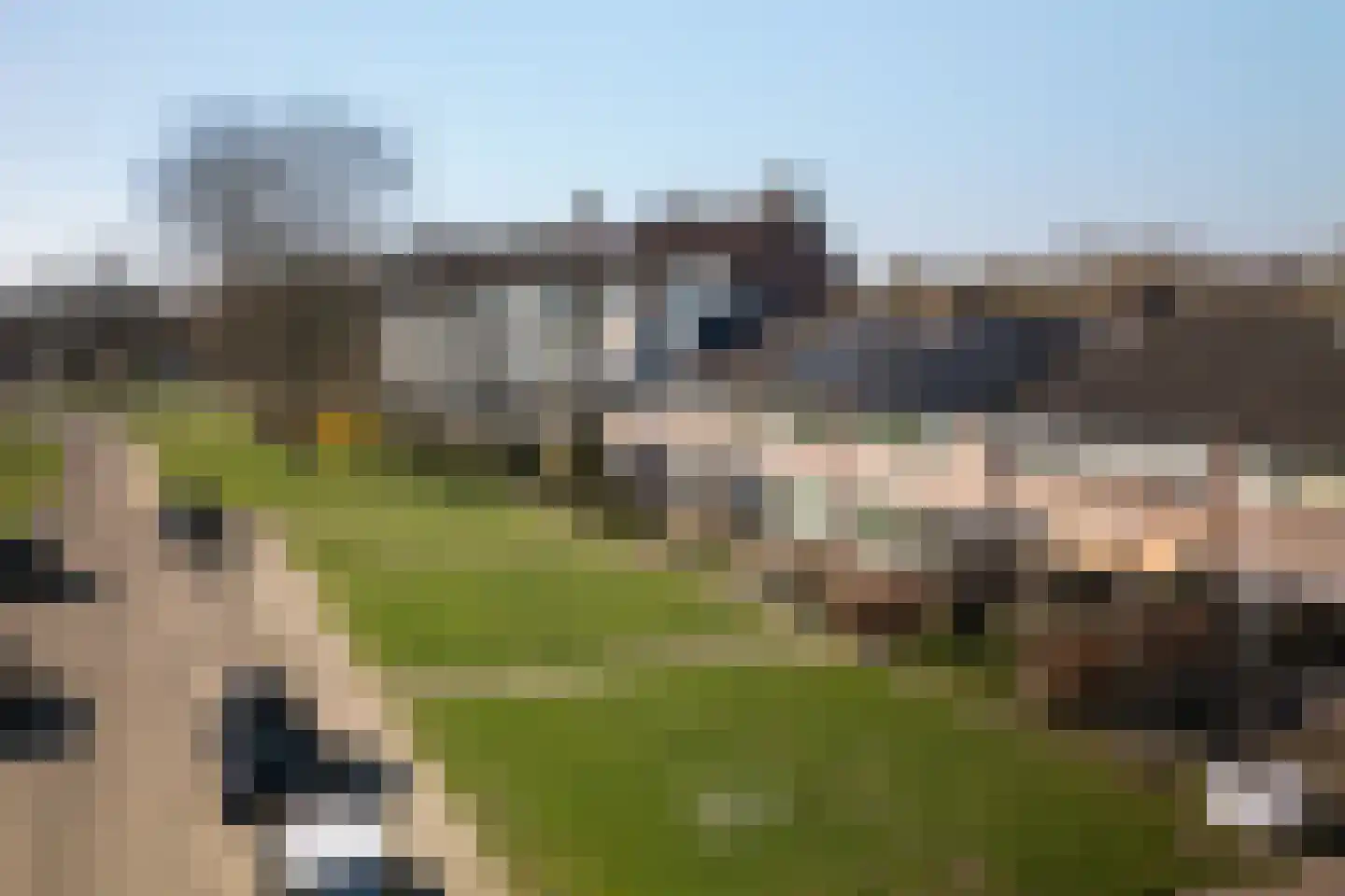 Zwaluwlaan 7 Dieren thumbnail 19
