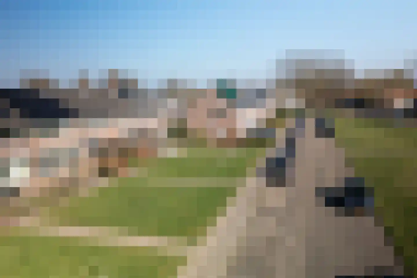 Zwaluwlaan 7 Dieren thumbnail 20