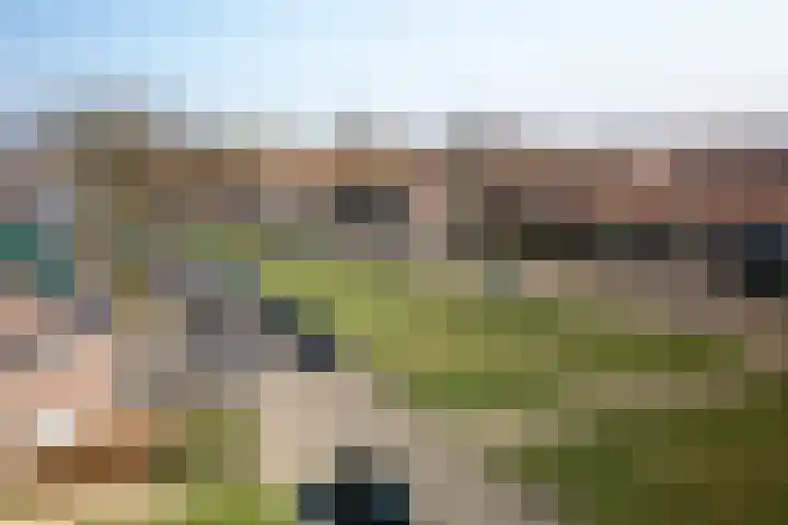 Zwaluwlaan 7 Dieren thumbnail 21
