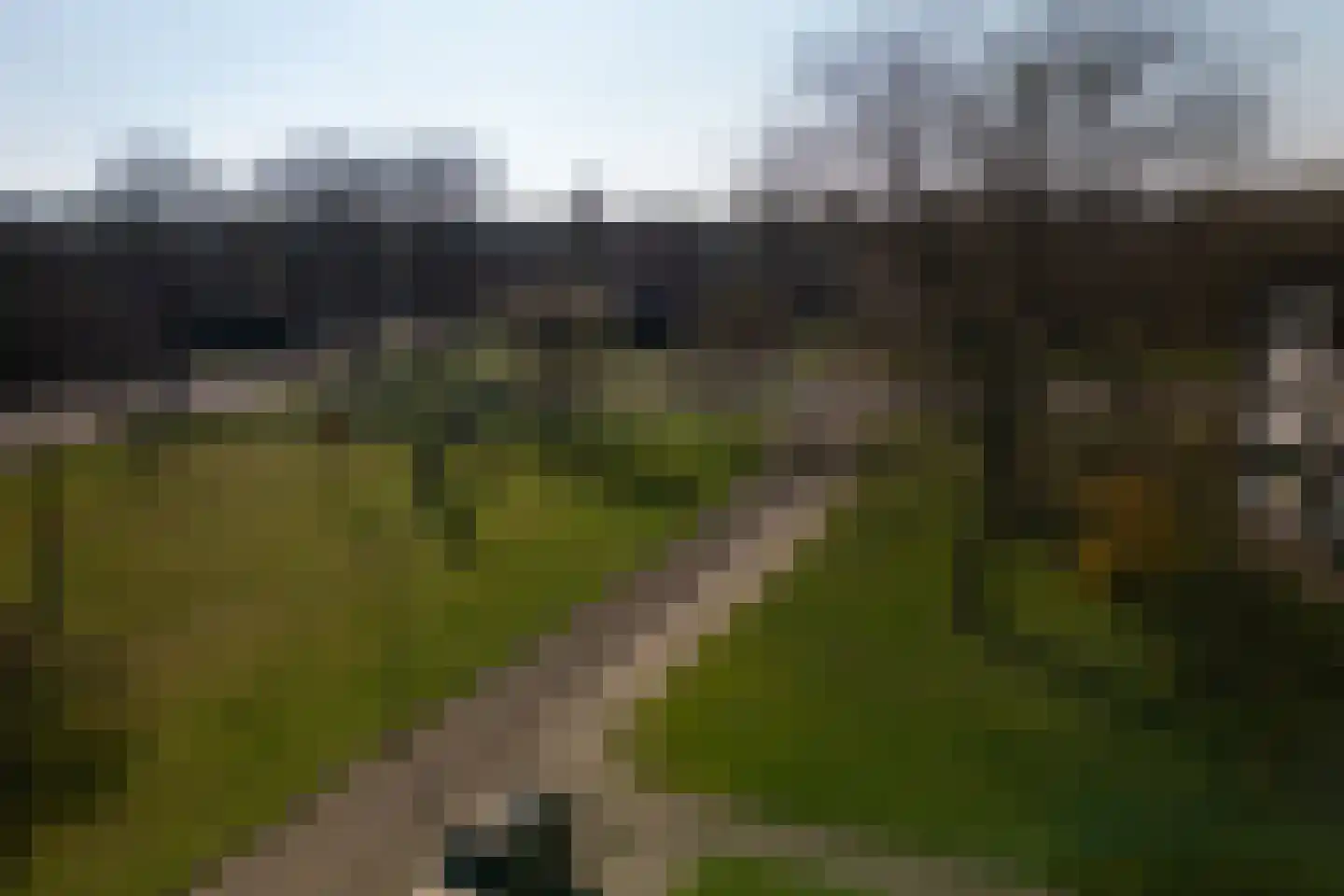Zwaluwlaan 7 Dieren thumbnail 22