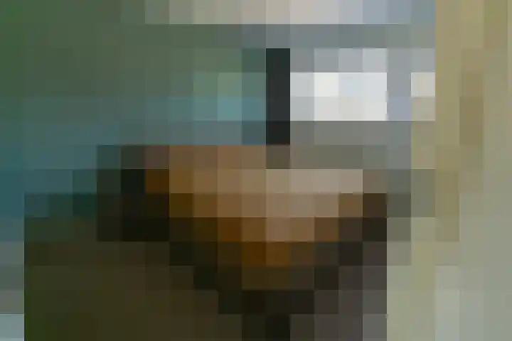 Zwaluwlaan 7 Dieren thumbnail 9