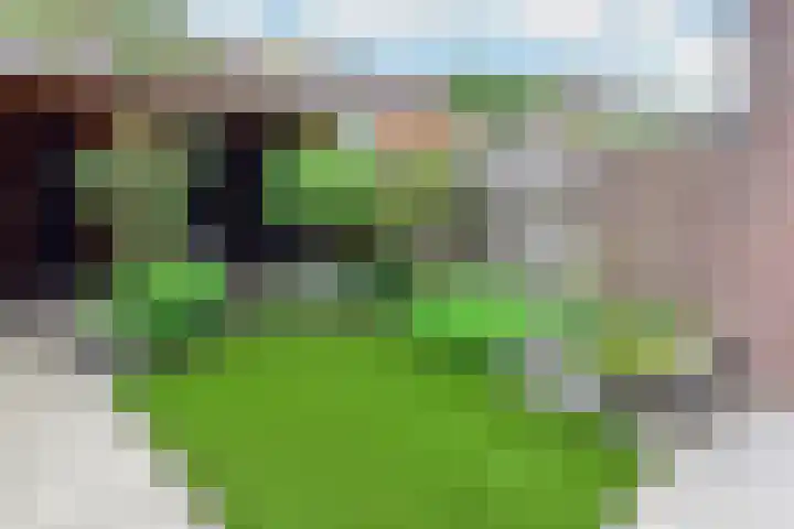Zwaluwlaan 7 Nieuwveen thumbnail 21