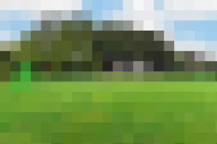 Zwaluwlaan 7 Nieuwveen thumbnail 24