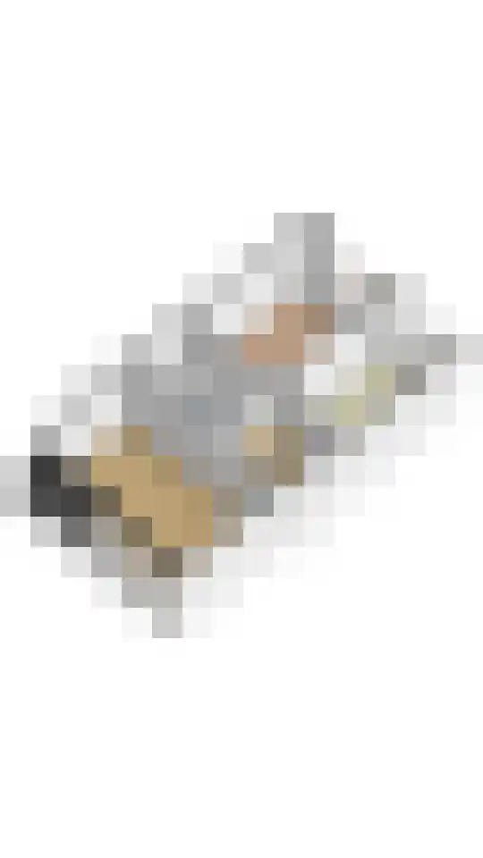 Zwaluwlaan 7 Nieuwveen thumbnail 30