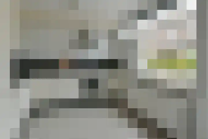 Zwaluwlaan 7 Nieuwveen thumbnail 4
