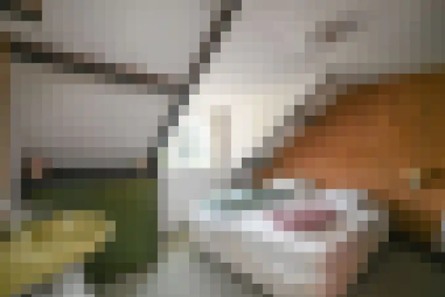 Zwaluwlaan 77 Bussum thumbnail 16