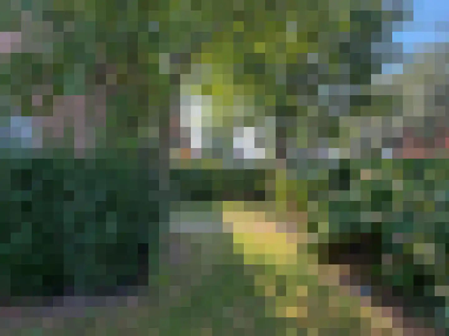 Zwaluwlaan 77 Bussum thumbnail 22