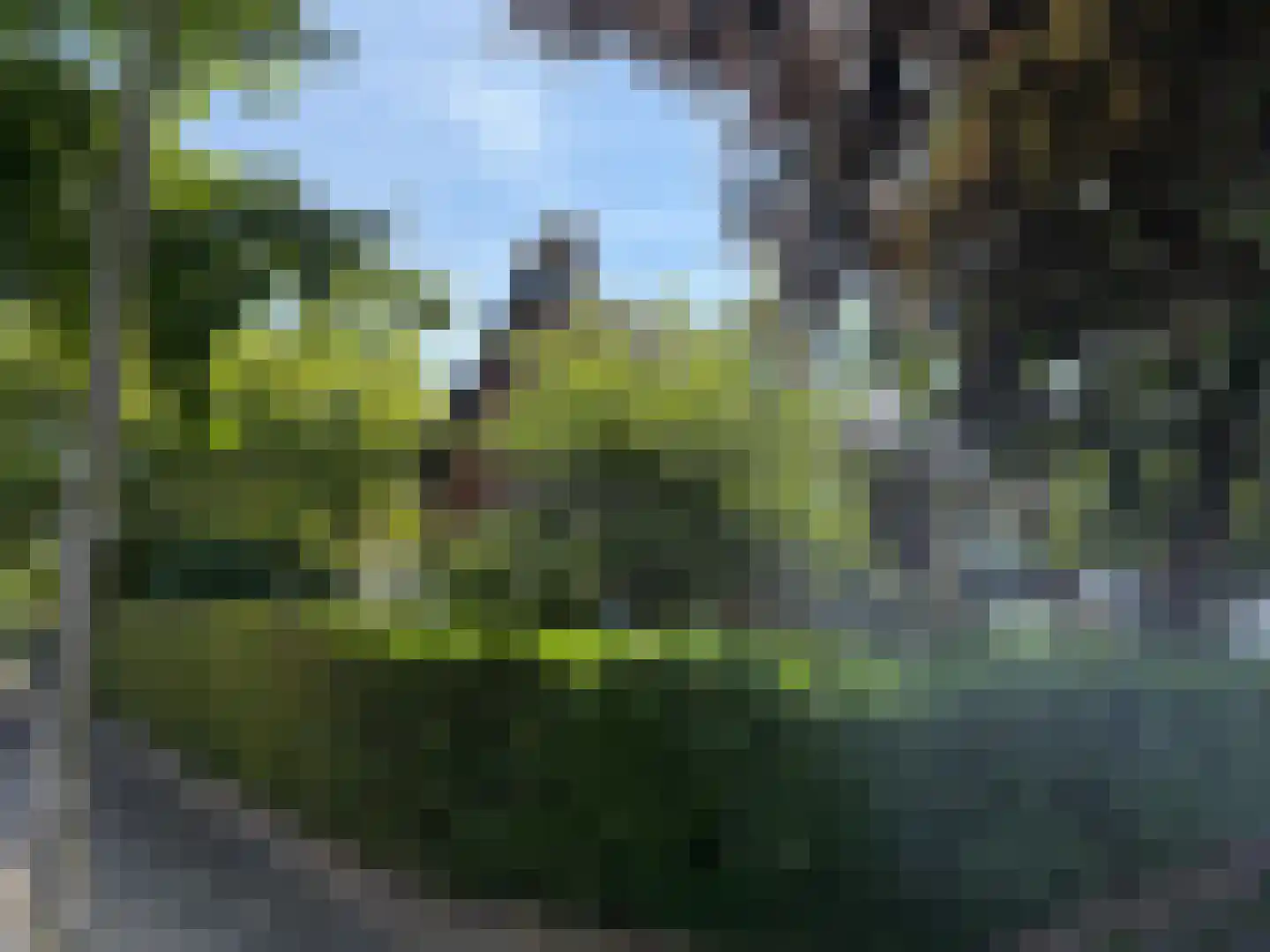 Zwaluwlaan 77 Bussum thumbnail 23