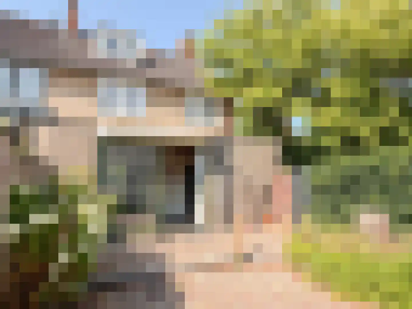 Zwaluwlaan 77 Bussum thumbnail 24