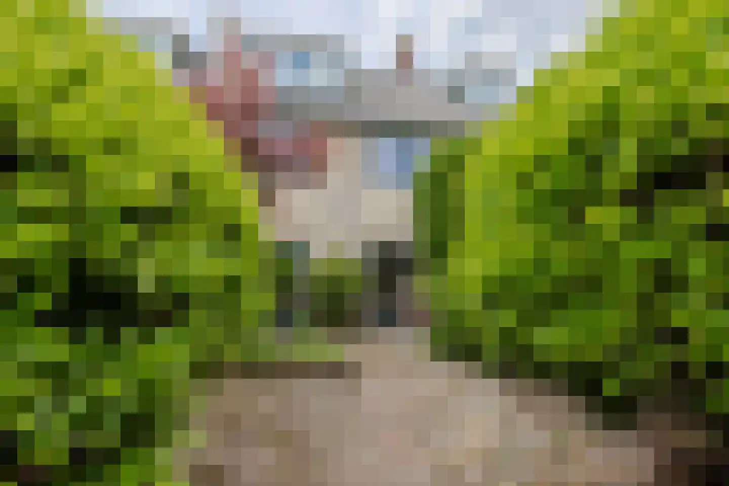 Zwaluwlaan 95 Bussum thumbnail 22