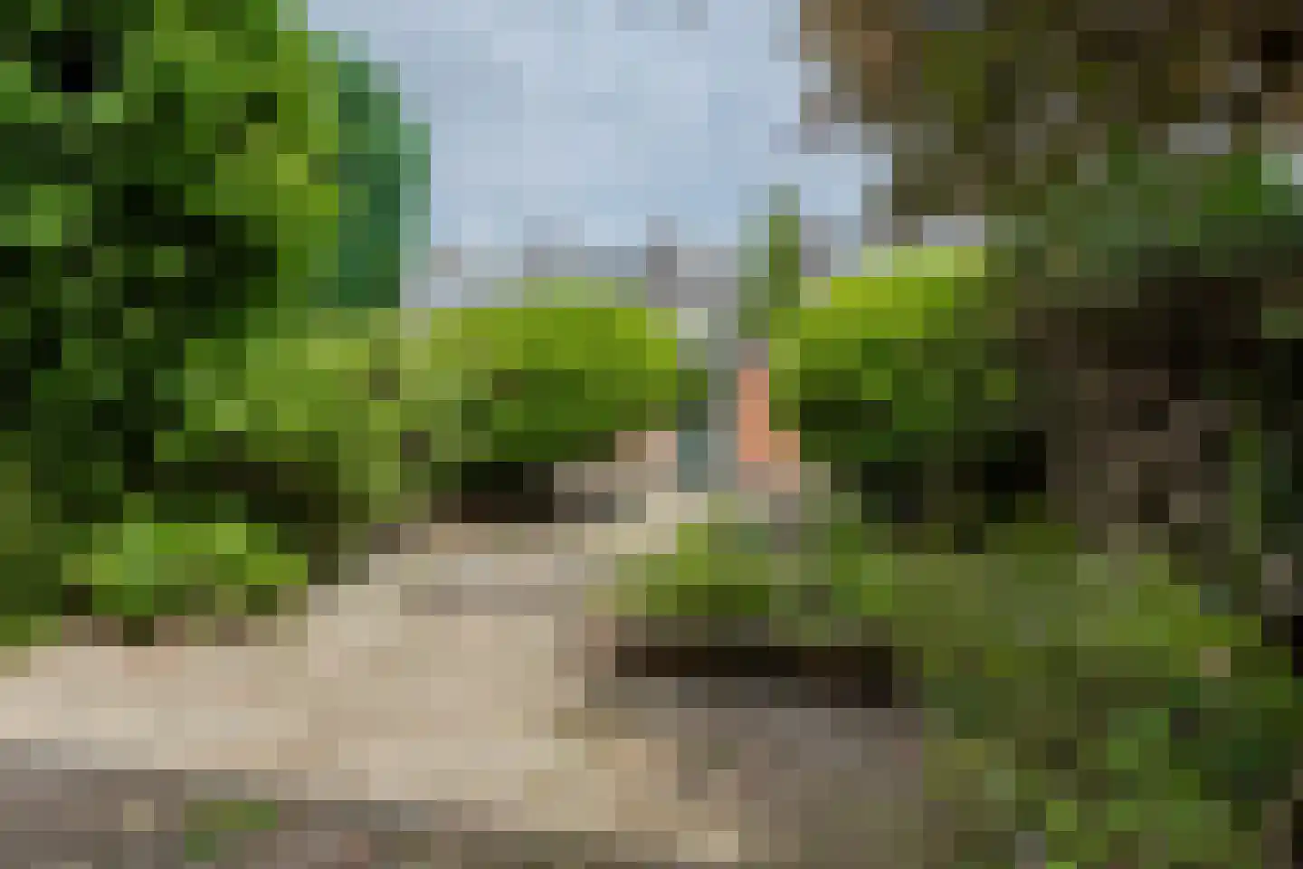 Zwaluwlaan 95 Bussum thumbnail 23