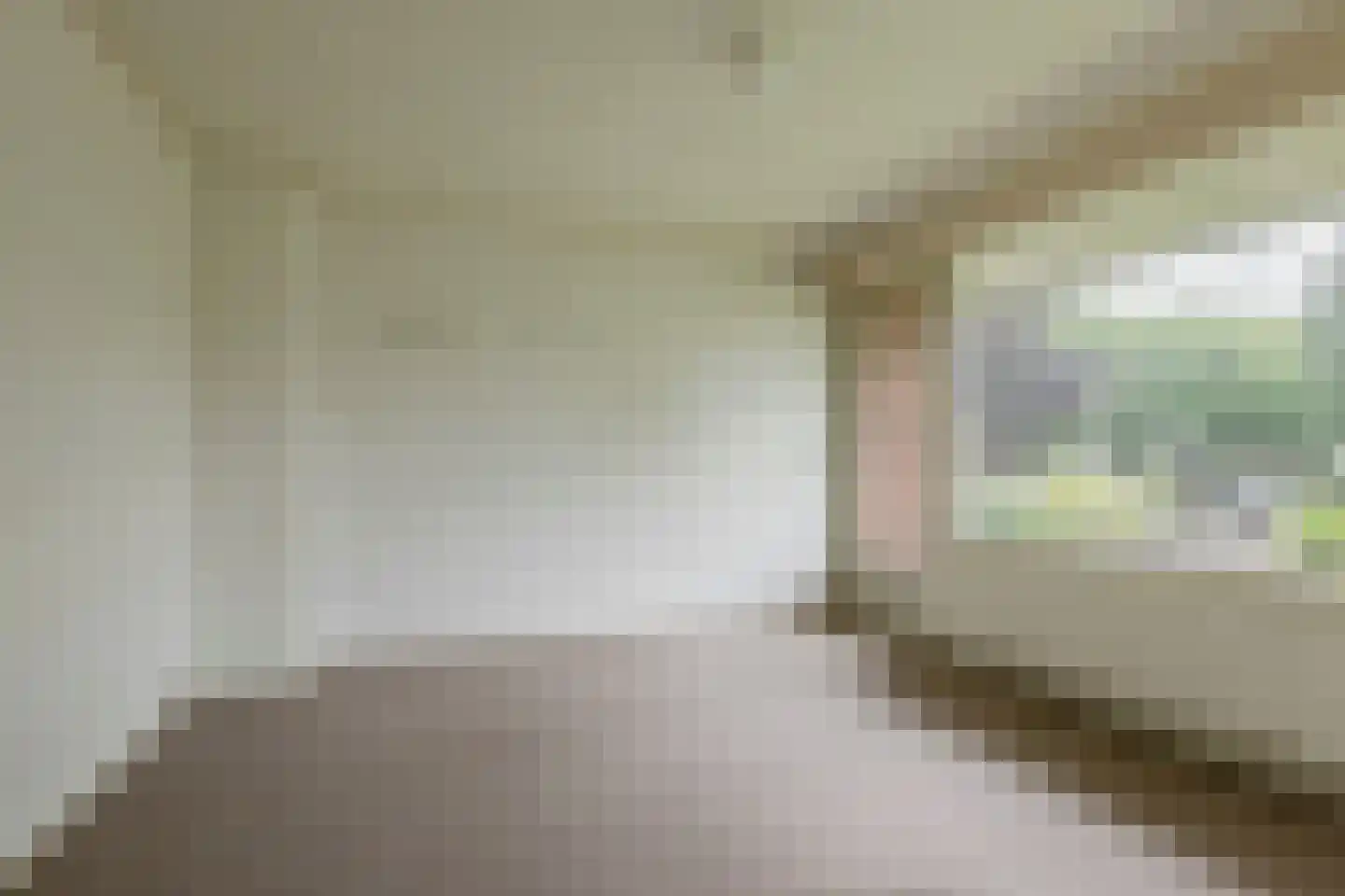 Zwaluwlaan 95 Bussum thumbnail 9