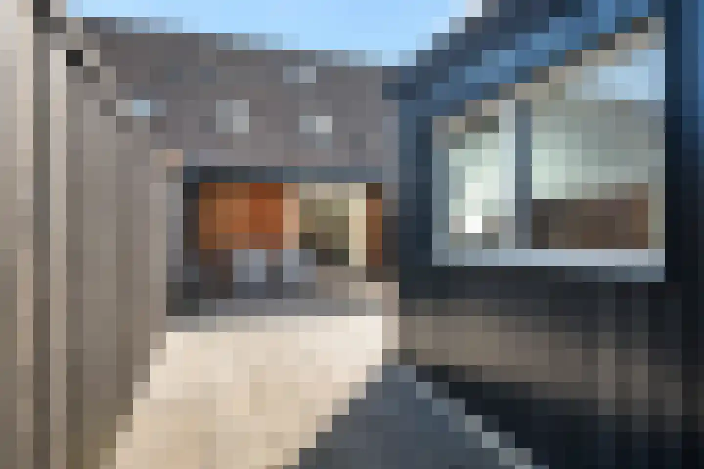 Zwaluwoever 12 Delfzijl thumbnail 13