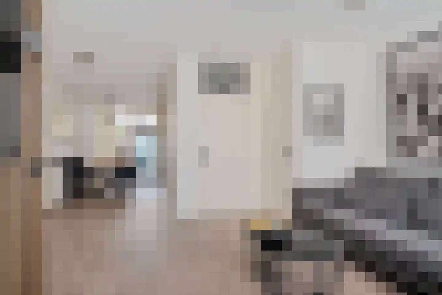 Zwaluwoever 12 Delfzijl thumbnail 20