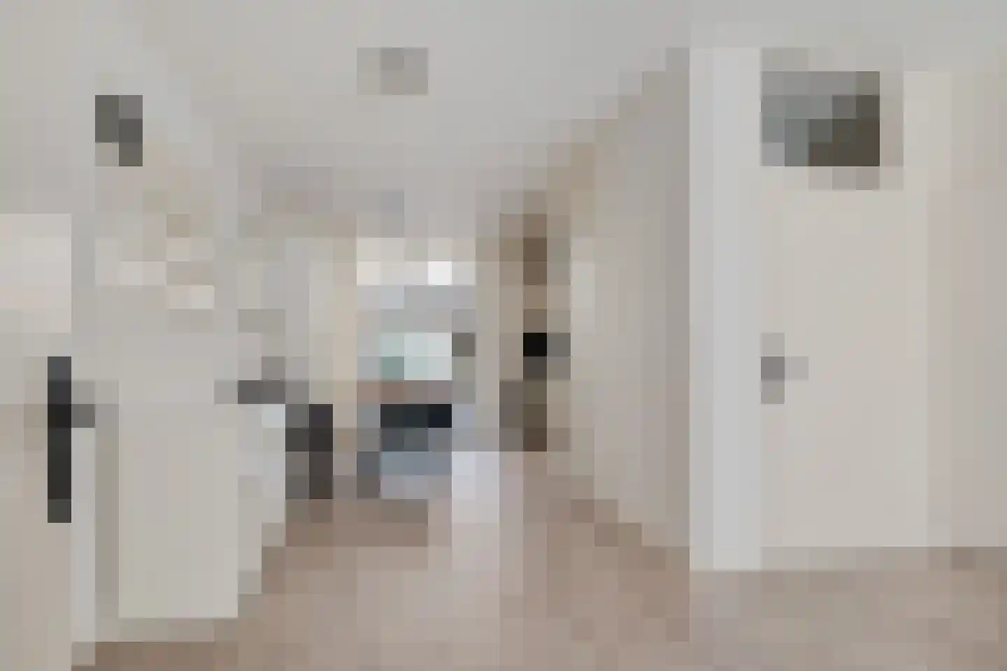 Zwaluwoever 12 Delfzijl thumbnail 21