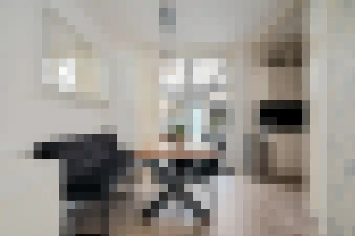 Zwaluwoever 12 Delfzijl thumbnail 23