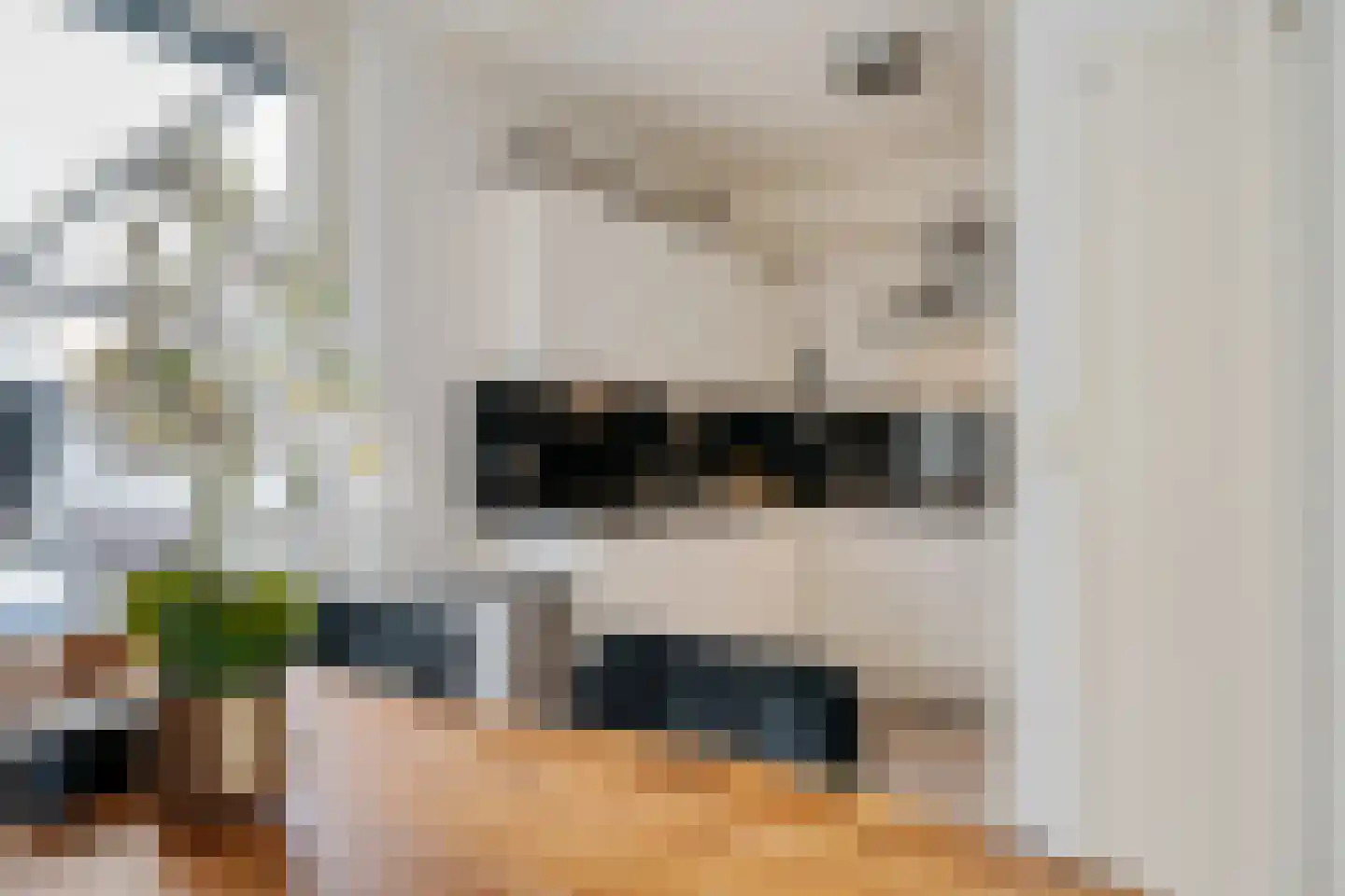 Zwaluwoever 12 Delfzijl thumbnail 24