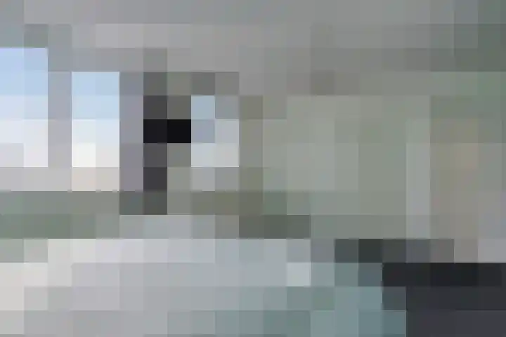 Zwaluwoever 55 Delfzijl thumbnail 27