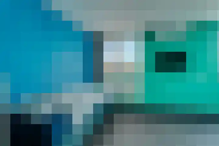 Zwaluwoever 55 Delfzijl thumbnail 28