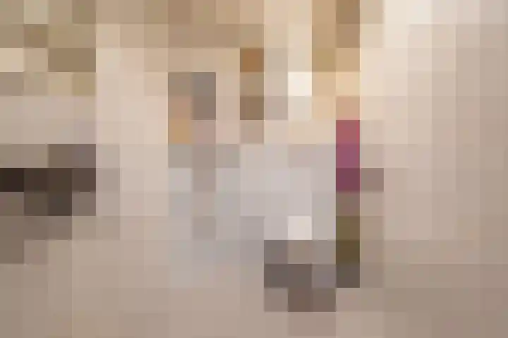 Zwaluwoever 67 Delfzijl thumbnail 17