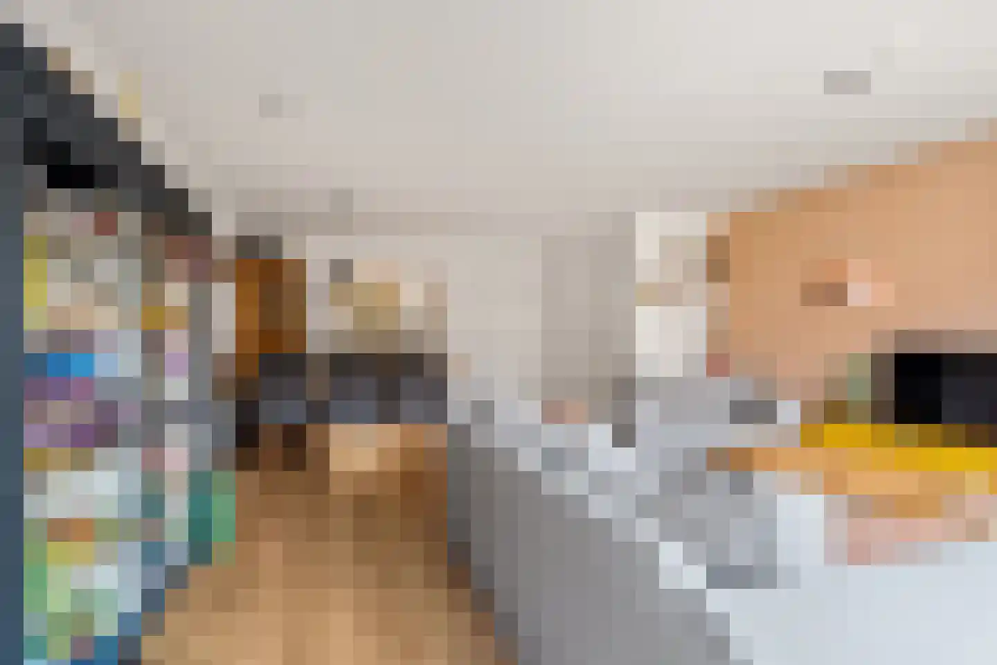Zwaluwpad 3 Benschop thumbnail 15
