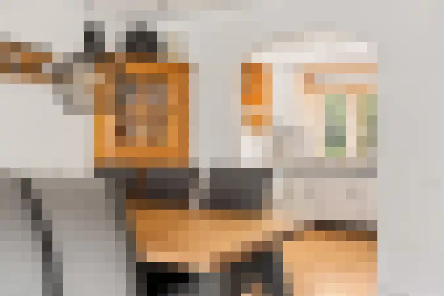 Zwaluwpad 3 Benschop thumbnail 21