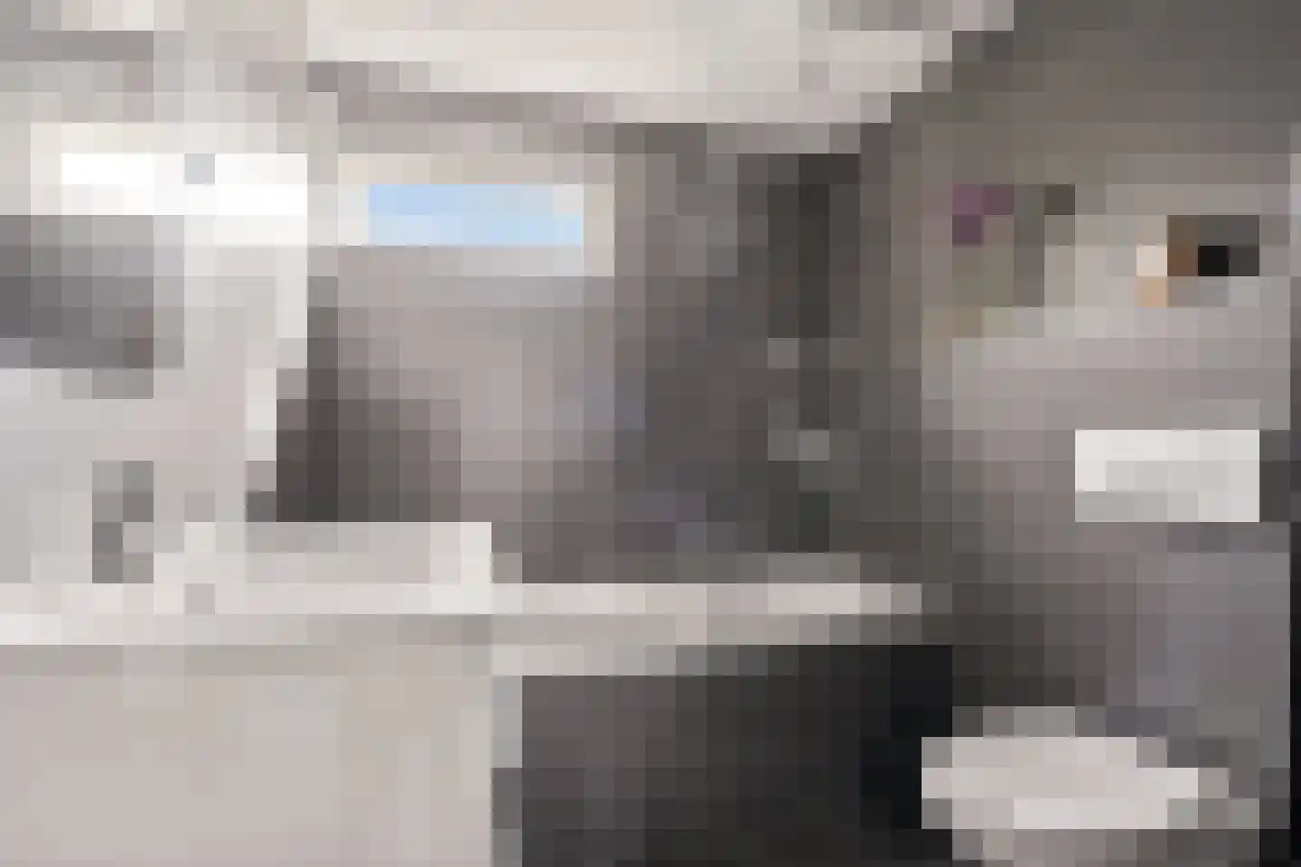 Zwaluwpad 3 Benschop thumbnail 39