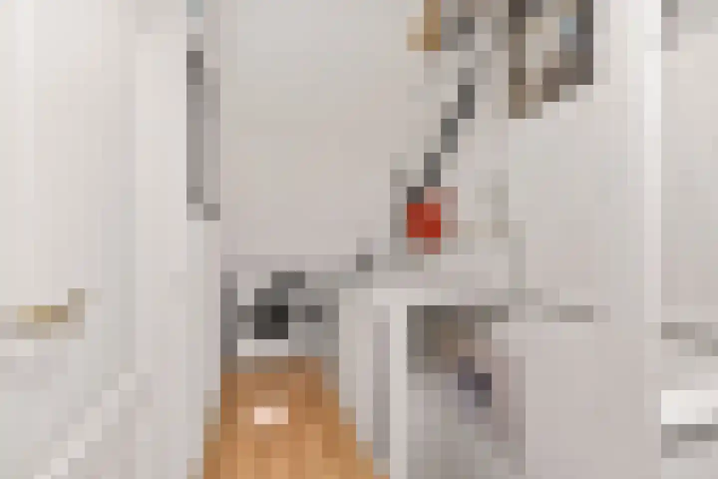 Zwaluwpad 3 Benschop thumbnail 43