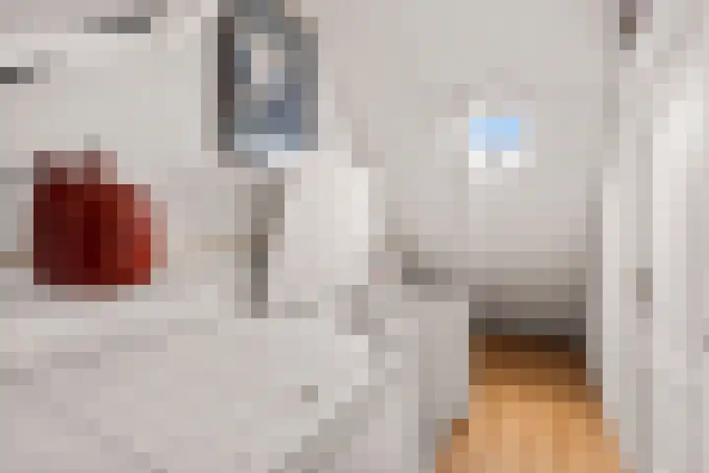 Zwaluwpad 3 Benschop thumbnail 44
