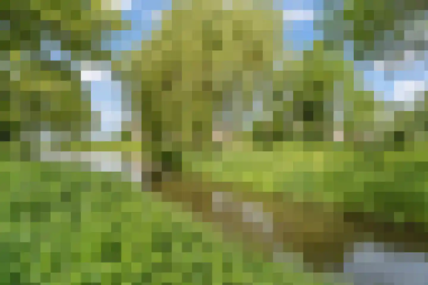 Zwaluwpad 3 Benschop thumbnail 48