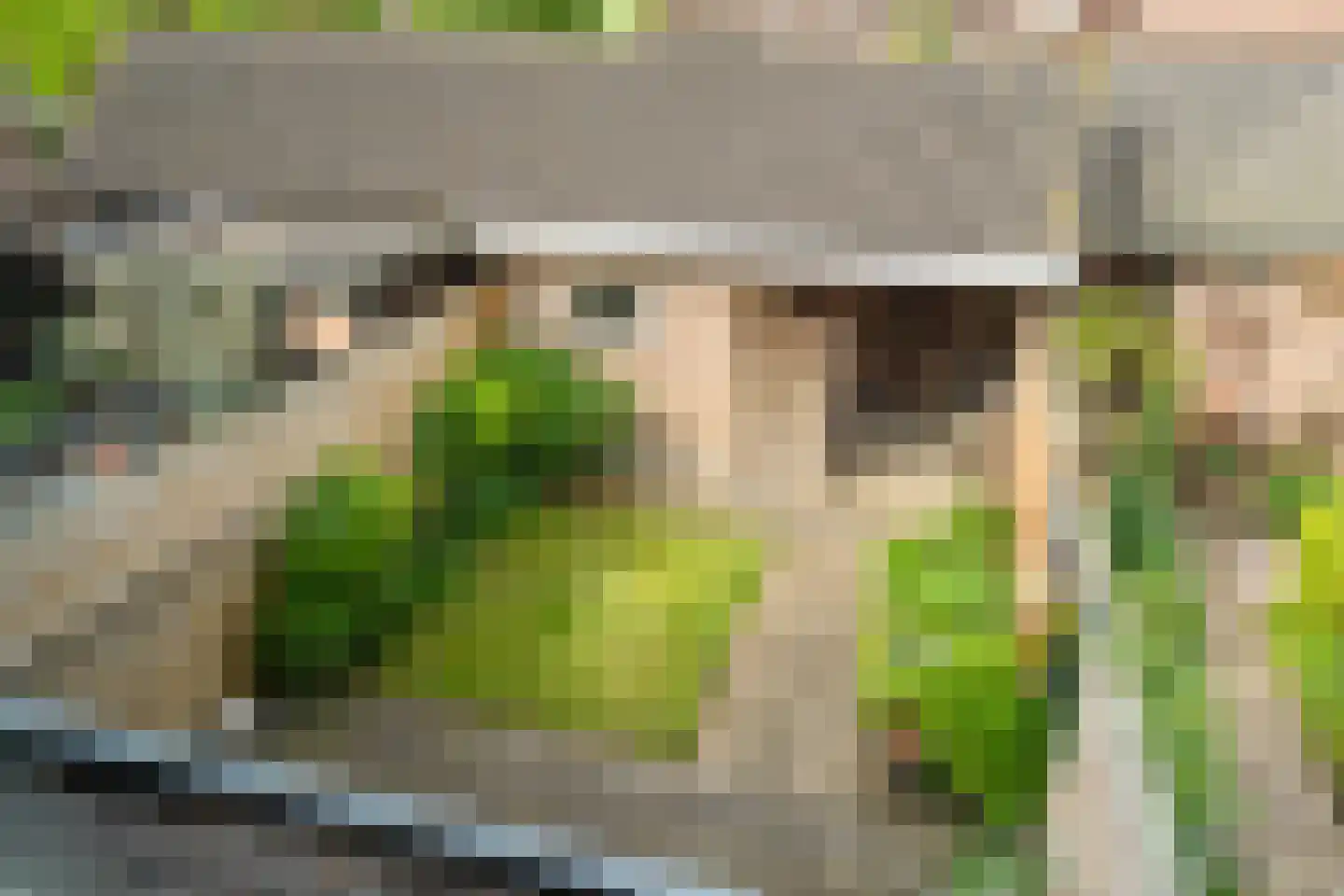 Zwaluwpad 3 Benschop thumbnail 49