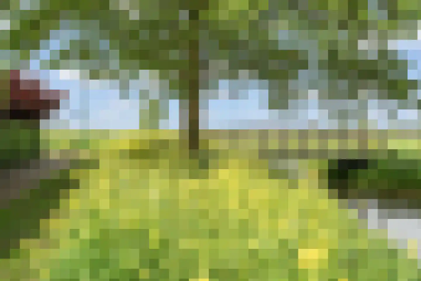 Zwaluwpad 3 Benschop thumbnail 51