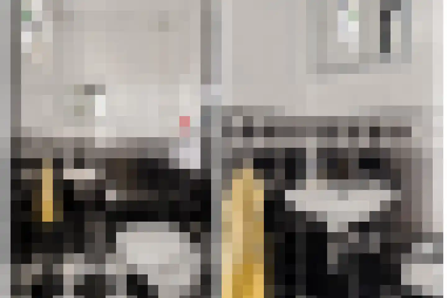 Zwaluwpad 3 Benschop thumbnail 9