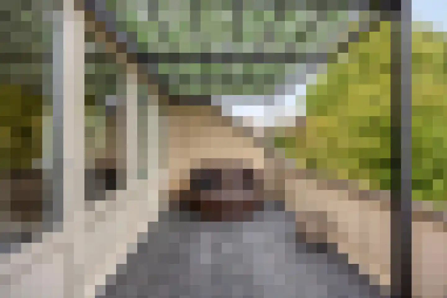 Zwaluwplein 13 Schagen thumbnail 16