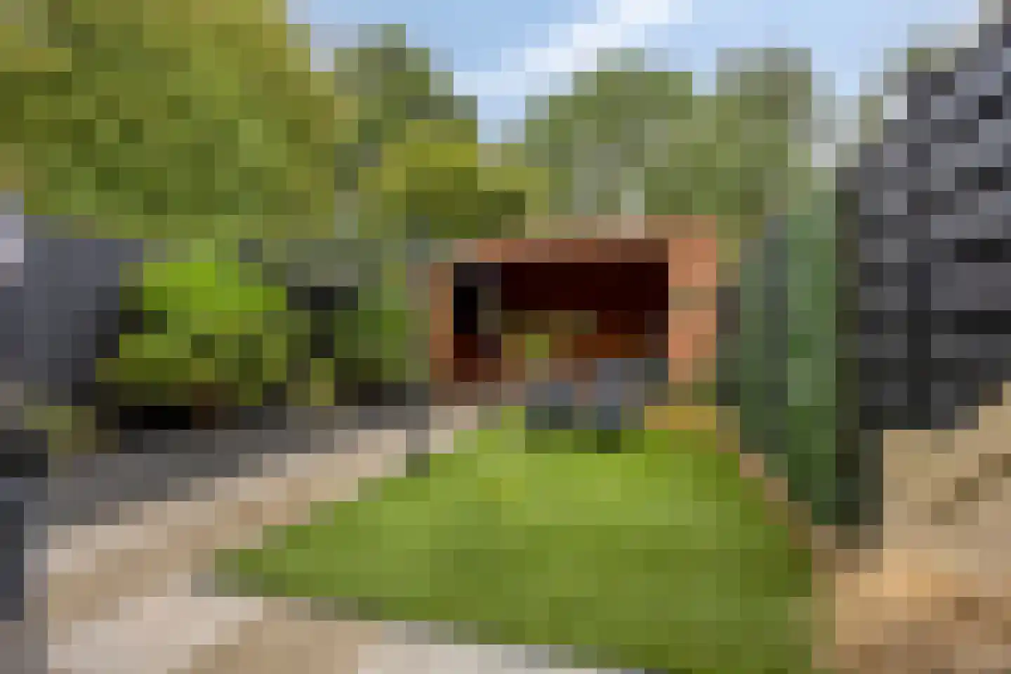 Zwaluwplein 13 Schagen thumbnail 28