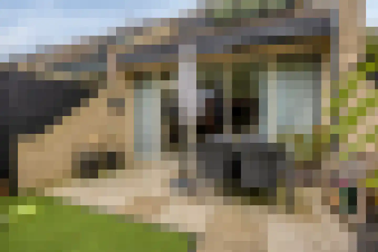 Zwaluwplein 13 Schagen thumbnail 31