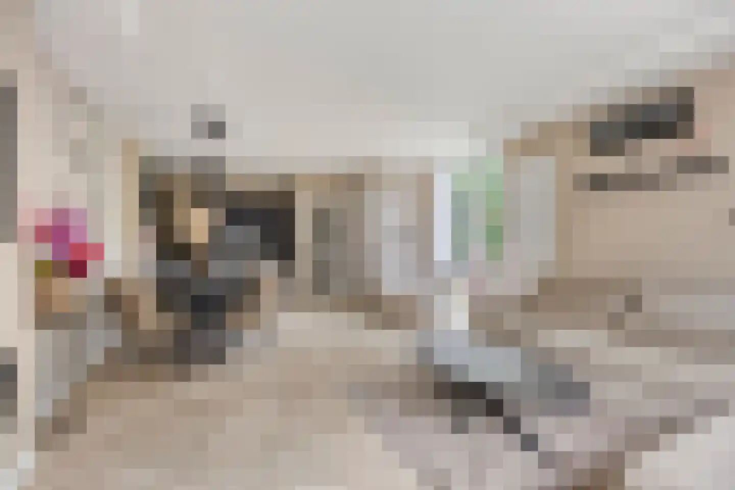 Zwaluwplein 13 Schagen thumbnail 4