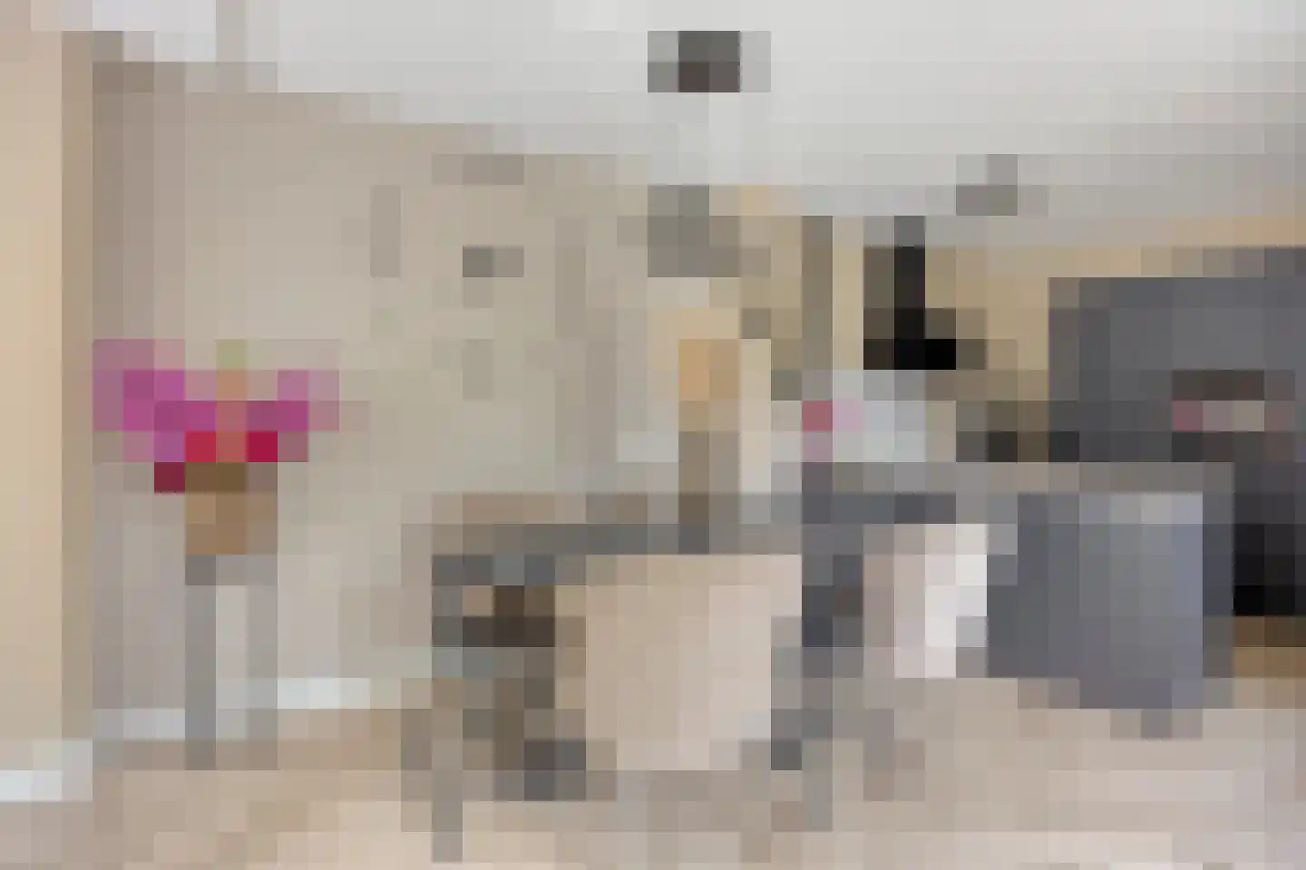 Zwaluwplein 13 Schagen thumbnail 6